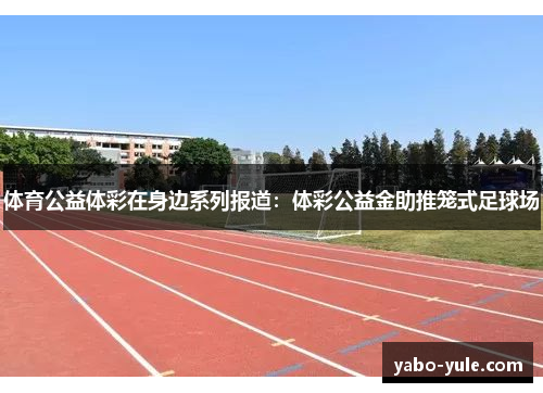 体育公益体彩在身边系列报道：体彩公益金助推笼式足球场